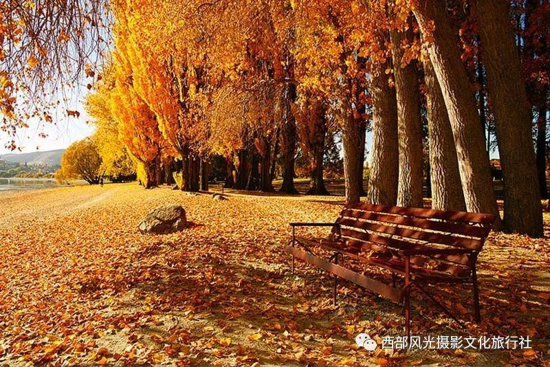 大行评级|大和:上调中远海控目标价至10港元 上调今明两年盈测